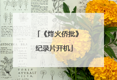《烽火侨批》纪录片开机