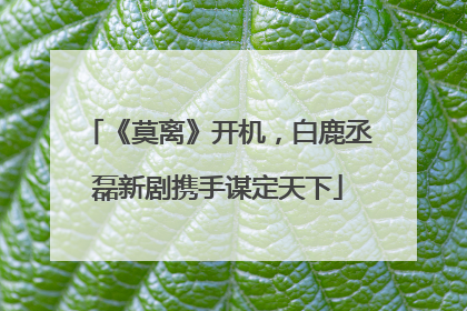 《莫离》开机，白鹿丞磊新剧携手谋定天下