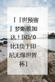 「世预赛」梦断雅加达！国足0比1负于印尼无缘世界杯