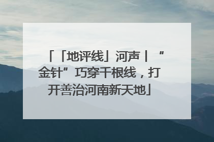 「地评线」河声丨“金针”巧穿千根线，打开善治河南新天地