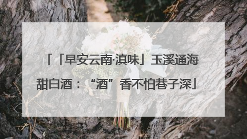 「早安云南·滇味」玉溪通海甜白酒：“酒”香不怕巷子深