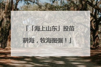 「海上山东」投苗耕海，牧海图强！