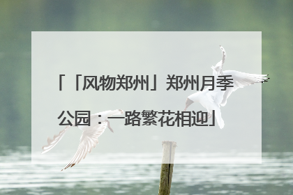 「风物郑州」郑州月季公园：一路繁花相迎
