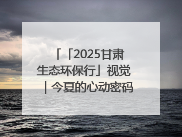 「2025甘肃生态环保行」视觉｜今夏的心动密码，藏在冰沟河的潋滟波光里