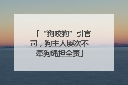 “狗咬狗”引官司，狗主人屡次不牵狗绳担全责