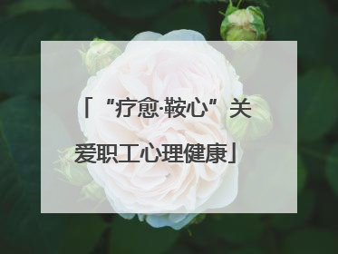 “疗愈·鞍心”关爱职工心理健康