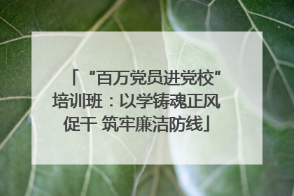 “百万党员进党校”培训班：以学铸魂正风促干 筑牢廉洁防线