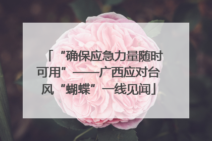 “确保应急力量随时可用”——广西应对台风“蝴蝶”一线见闻