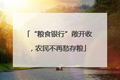 “粮食银行”敞开收，农民不再愁存粮