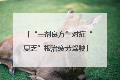 “三剂良方”对症“夏乏”根治疲劳驾驶