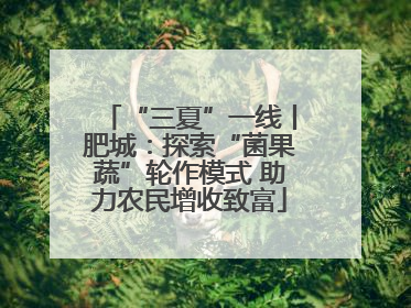 “三夏”一线丨肥城：探索“菌果蔬”轮作模式 助力农民增收致富