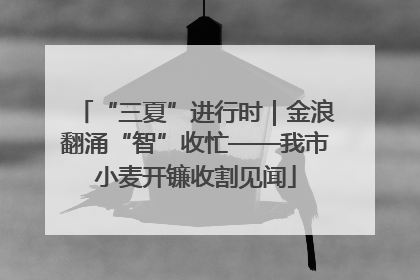 “三夏”进行时｜金浪翻涌“智”收忙——我市小麦开镰收割见闻