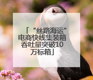 “丝路海运”电商快线集装箱吞吐量突破10万标箱