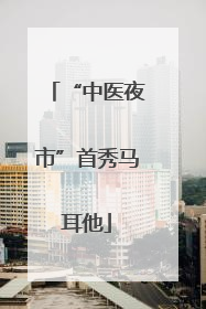 “中医夜市”首秀马耳他