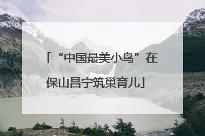 “中国最美小鸟”在保山昌宁筑巢育儿