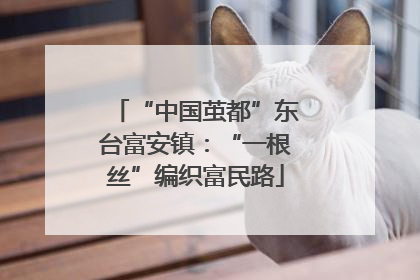 “中国茧都”东台富安镇：“一根丝”编织富民路