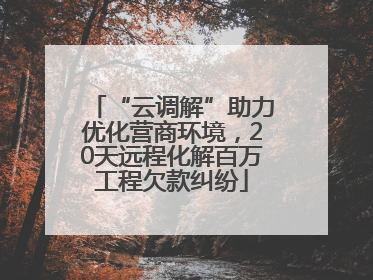 “云调解”助力优化营商环境，20天远程化解百万工程欠款纠纷