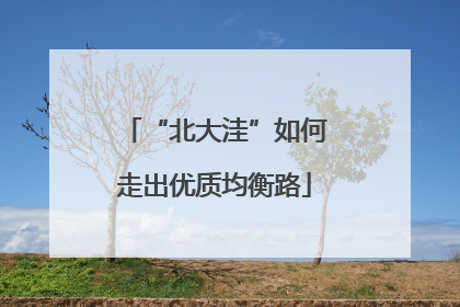 “北大洼”如何走出优质均衡路