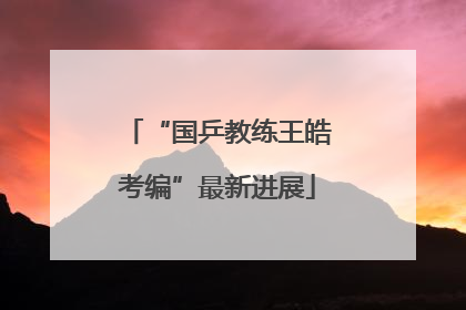 “国乒教练王皓考编”最新进展