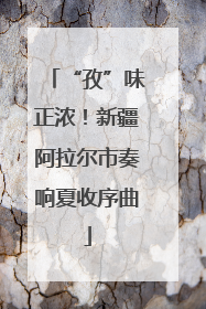 “孜”味正浓！新疆阿拉尔市奏响夏收序曲