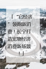 “它经济”领跑新消费！长宁打造宠物经济消费新场景！