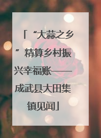 “大蒜之乡”精算乡村振兴幸福账——成武县大田集镇见闻