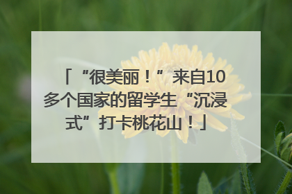 “很美丽！”来自10多个国家的留学生“沉浸式”打卡桃花山！