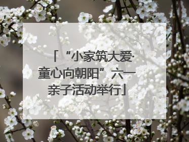 “小家筑大爱·童心向朝阳”六一亲子活动举行
