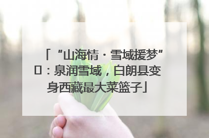 “山海情・雪域援梦”⑪：泉润雪域，白朗县变身西藏最大菜篮子