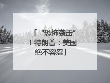 “恐怖袭击”！特朗普：美国绝不容忍