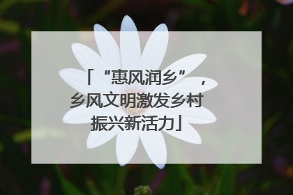 “惠风润乡”，乡风文明激发乡村振兴新活力