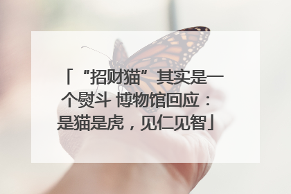 “招财猫”其实是一个熨斗 博物馆回应：是猫是虎，见仁见智