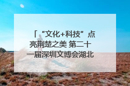 “文化+科技”点亮荆楚之美 第二十一届深圳文博会湖北馆抢“鲜”看