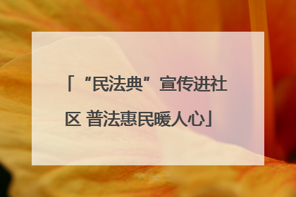 “民法典”宣传进社区 普法惠民暖人心