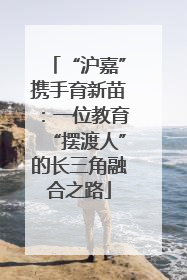 “沪嘉”携手育新苗：一位教育“摆渡人”的长三角融合之路