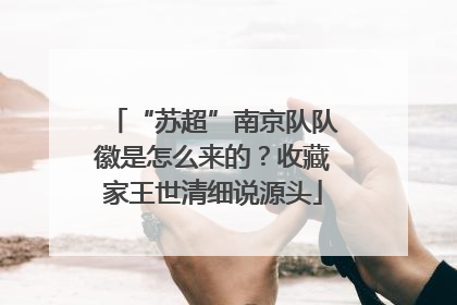 “苏超”南京队队徽是怎么来的？收藏家王世清细说源头