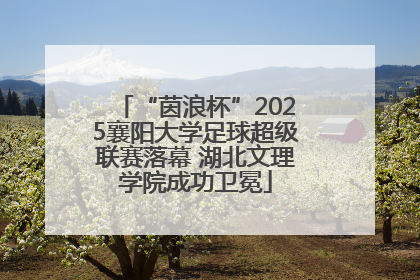 “茵浪杯”2025襄阳大学足球超级联赛落幕 湖北文理学院成功卫冕