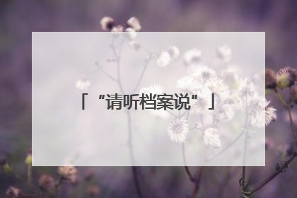 “请听档案说”