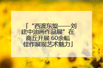 “西渡东望——刘建中油画作品展”在商丘开展 60余幅佳作展现艺术魅力