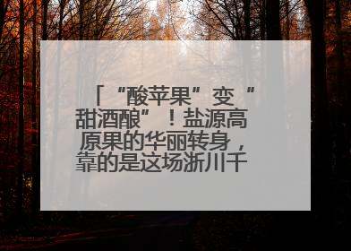 “酸苹果”变“甜酒酿”！盐源高原果的华丽转身，靠的是这场浙川千里“联姻”