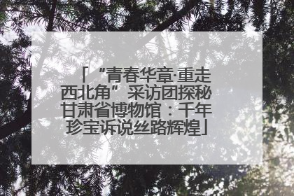 “青春华章·重走西北角”采访团探秘甘肃省博物馆：千年珍宝诉说丝路辉煌
