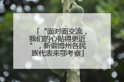 “面对面交流，我们的心贴得更近”，新疆博州各民族代表来鄂考察
