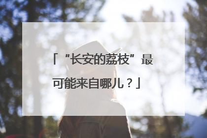 “长安的荔枝”最可能来自哪儿？