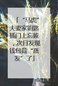 “马虎”夫妻家钥匙插门上忘拔，次日发现钱包竟“蒸发”了