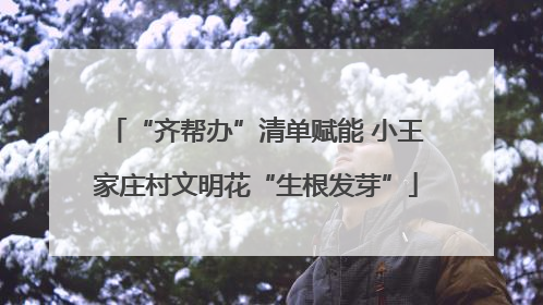 “齐帮办”清单赋能 小王家庄村文明花“生根发芽”