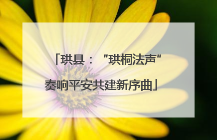 珙县：“珙桐法声”奏响平安共建新序曲
