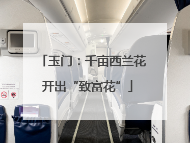 玉门：千亩西兰花开出“致富花”