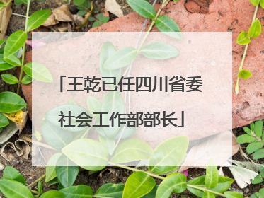 王乾已任四川省委社会工作部部长