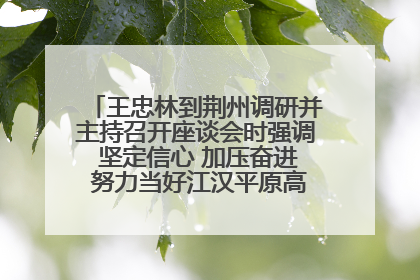王忠林到荆州调研并主持召开座谈会时强调 坚定信心 加压奋进 努力当好江汉平原高质量发展排头兵