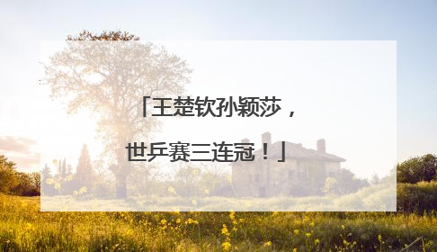王楚钦孙颖莎，世乒赛三连冠！